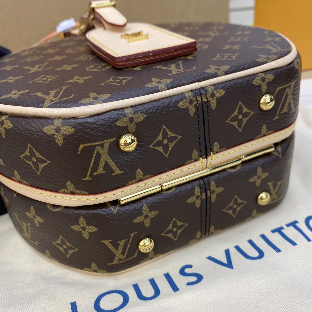 Louis Vuitton BOITE CHAPEAU SOUPLE PM Handbag Monogram M45578